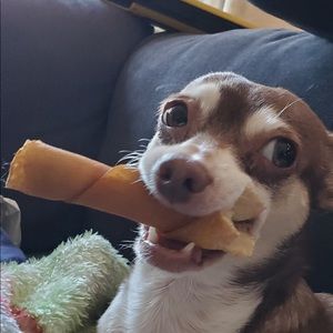 Meet your Posher, Farley